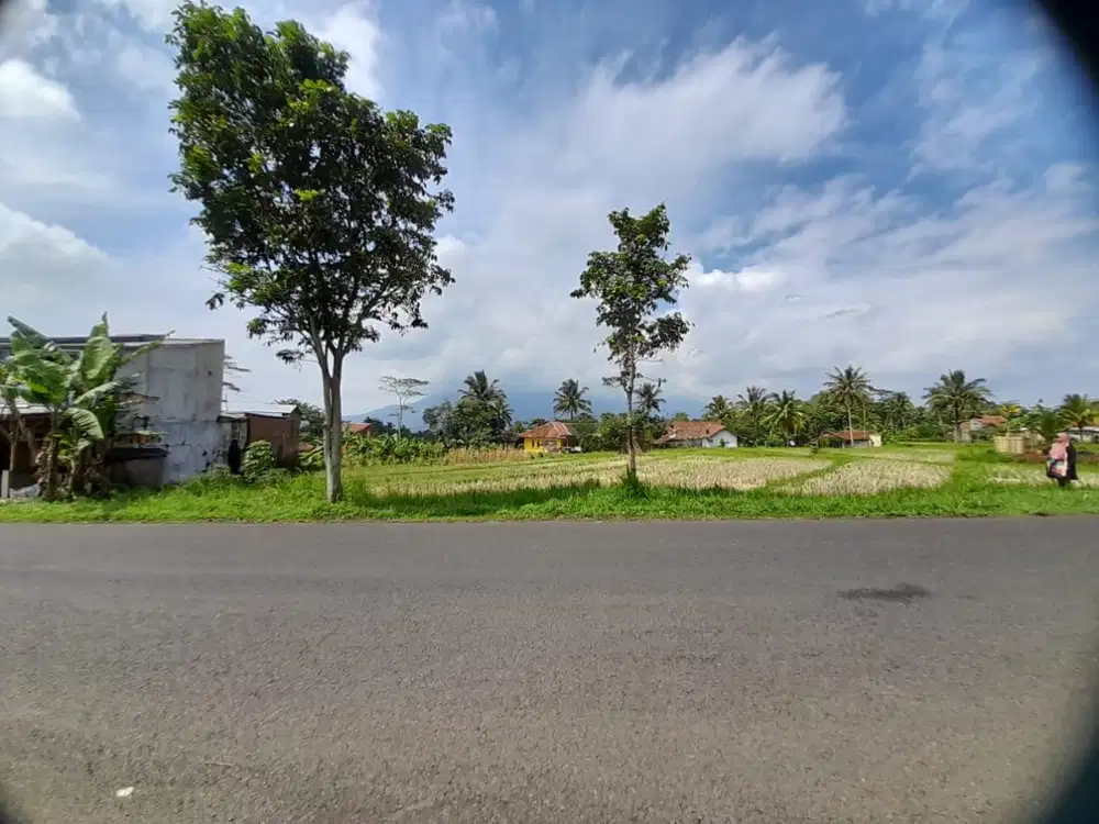 Jual Tanah Tasikmalaya