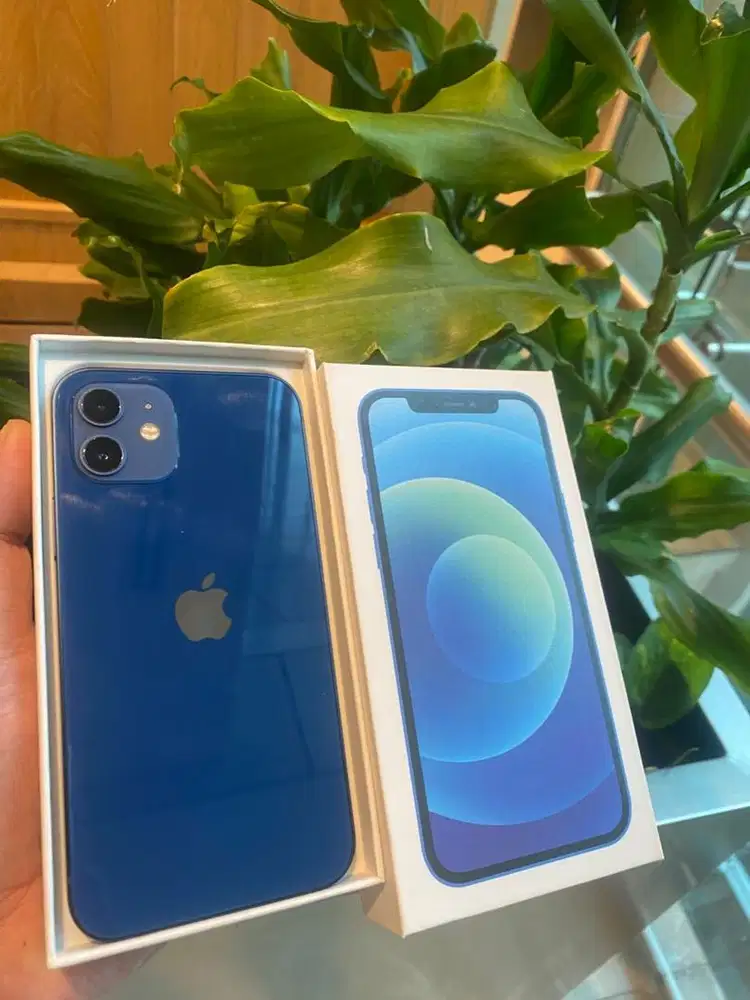 iphone 12 128gb warna sejatra