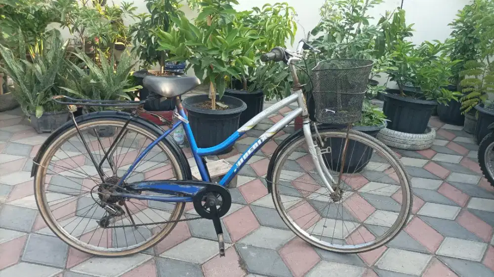 Sepeda keranjang phoenix siap funbike