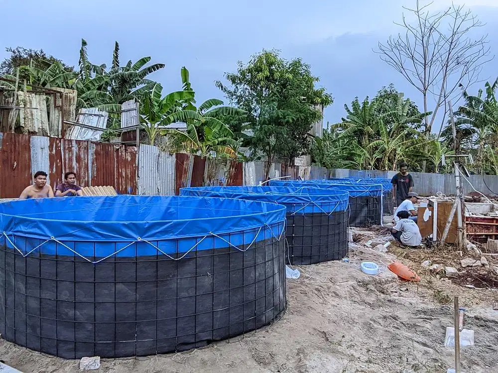 Dicari mitra kerjasama budidaya ikan air tawar secara profesional