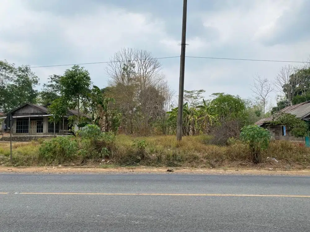 dijual tanah pinggir jalan raya