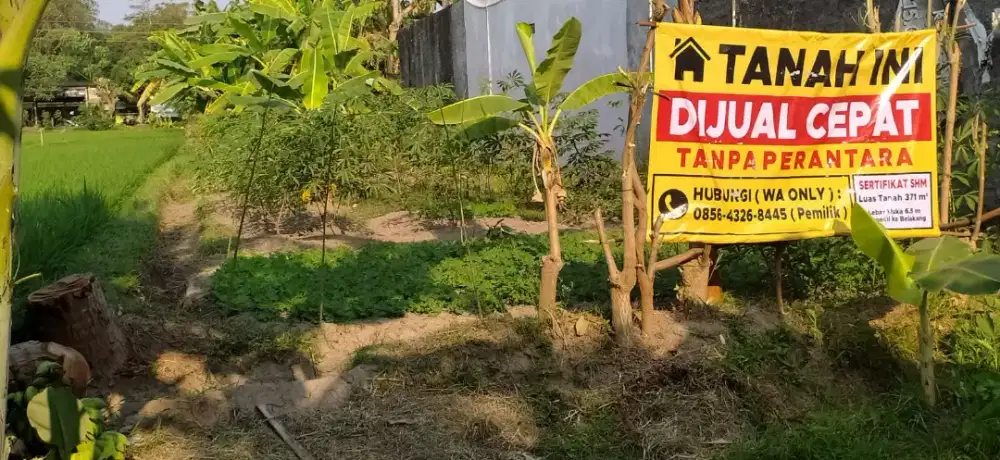 DIJUAL CEPAT Tanah 371 m², Timbulharjo, Sewon. SHM-sawah