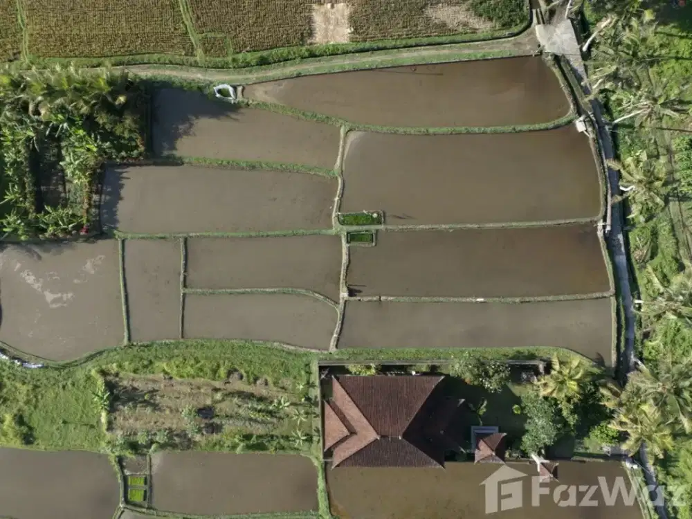 Land for sale in Pejeng, Bali