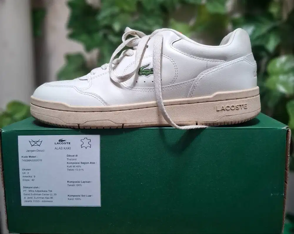 Sepatu Lacoste Man
