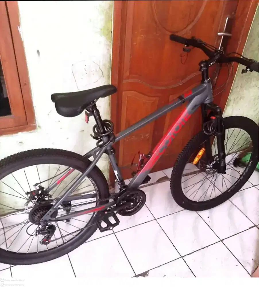 Sepeda MTB coyote like news