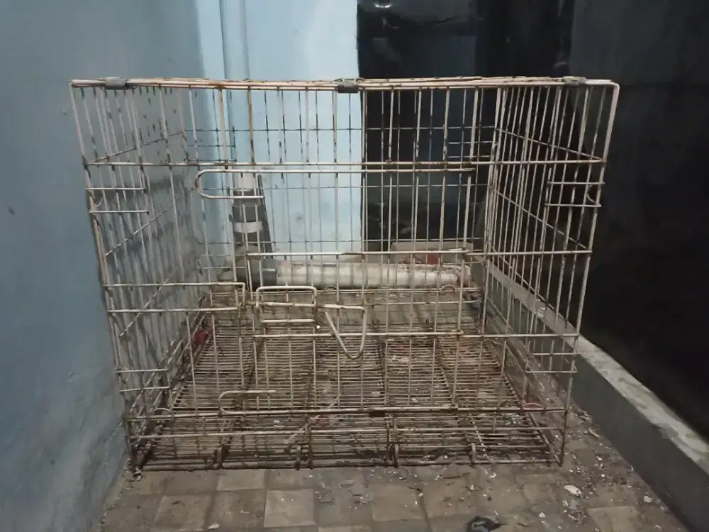 Kandang Kucing.
