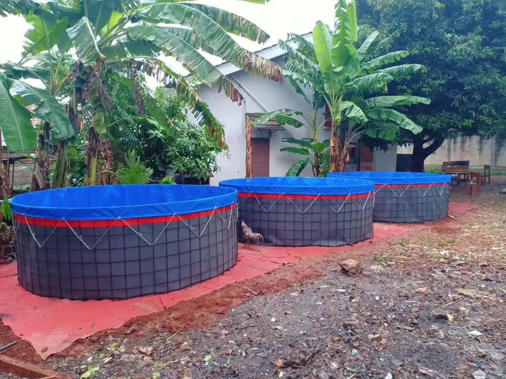 DICARI PENGUSAHA YANG MAU BERMITRA BISNIS BUDIDAYA IKAN BIOFLOK