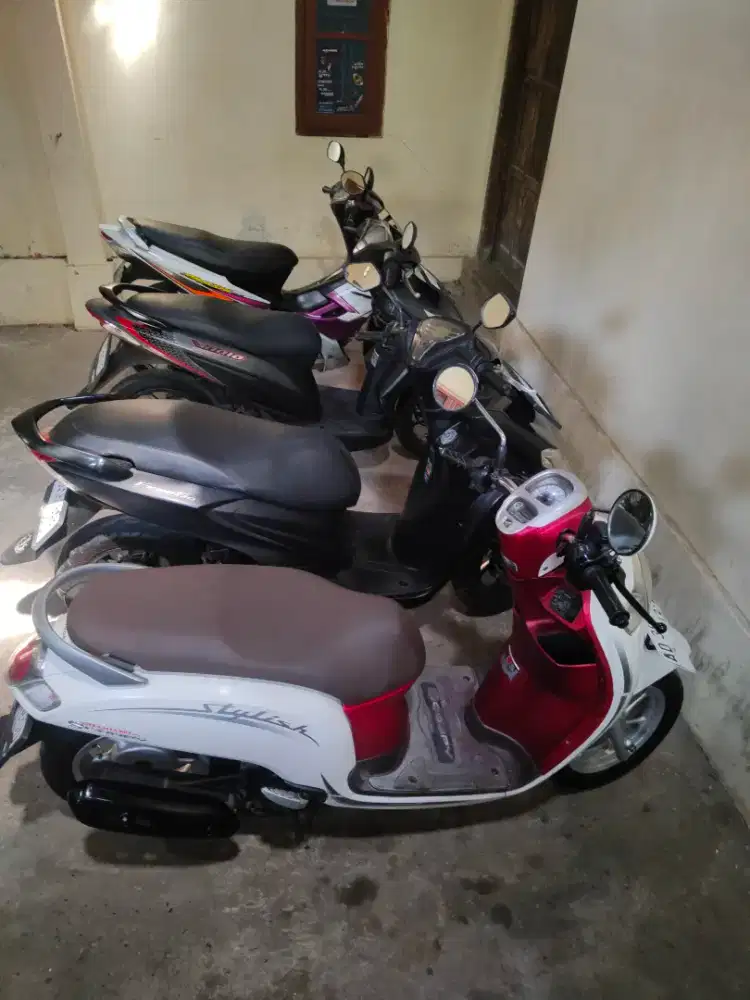 Honda Scoopy surat lengkap plat AD Freego