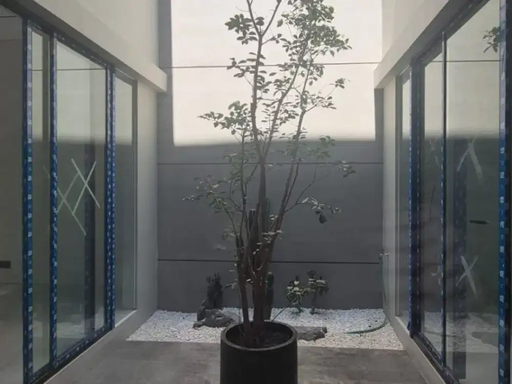 Rumah 2 Lantai Baru Gress Woodland Citraland Lebar 9 Hadap Utara