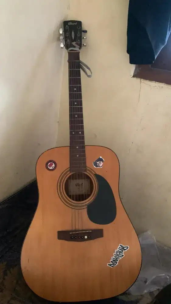 Cort ad 810 original