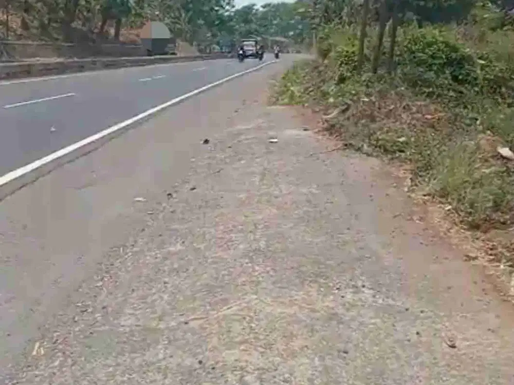 Dijual Murah Tanah Industri Pinggir Jalan Pantura Batang Jawa Tengah
