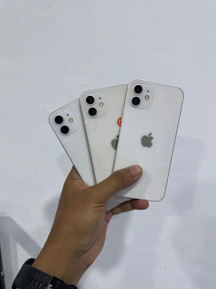 Iphone 12 Basic