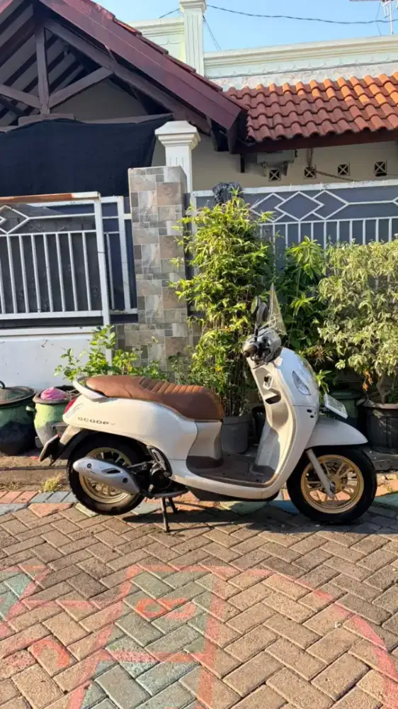 Scoopy prestige white remote 2021