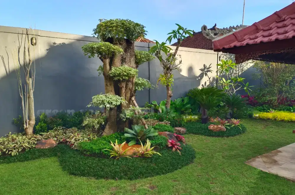 Jual rumput dan taman - tukang taman gratis survey