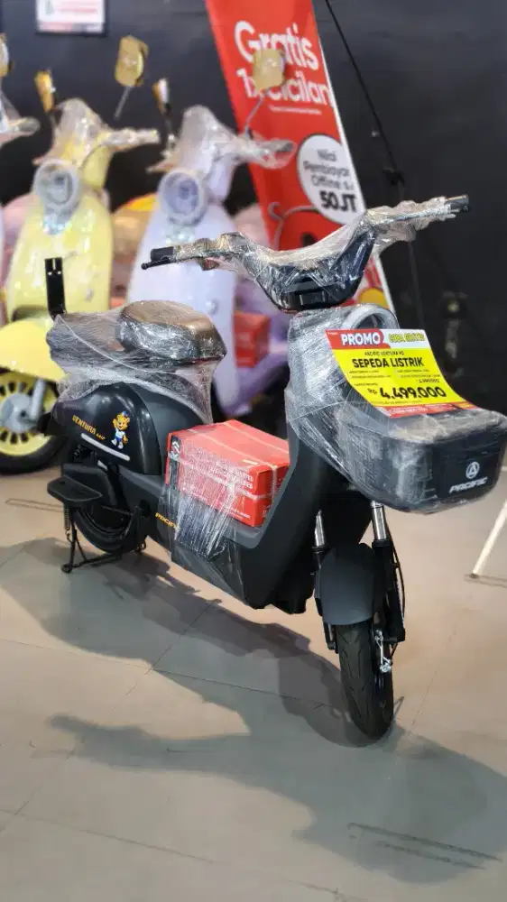 PASIFIC VENTURA M2