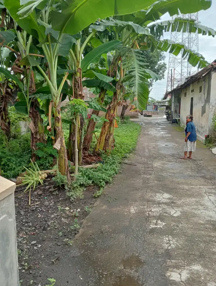 Dijual Tanah padat penduduk
