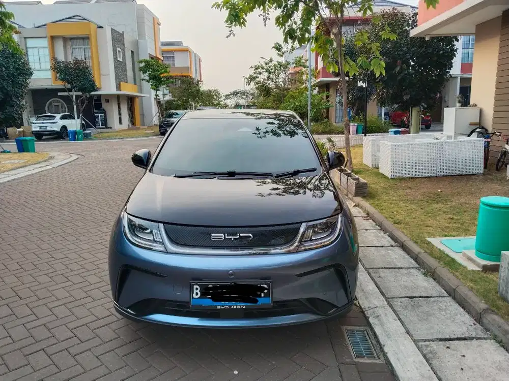BYD Dolphin 2024,Premium, two tones