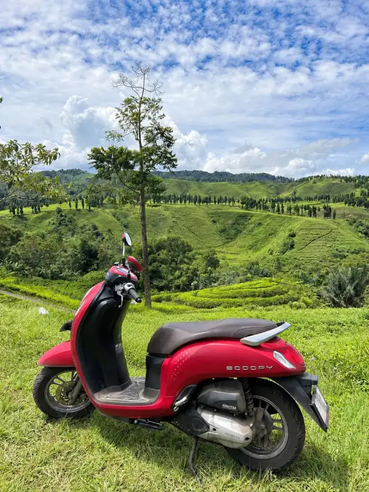 Honda Scoopy 2024