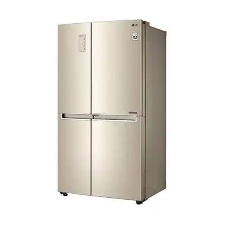 Kulkas LG 2 Pintu