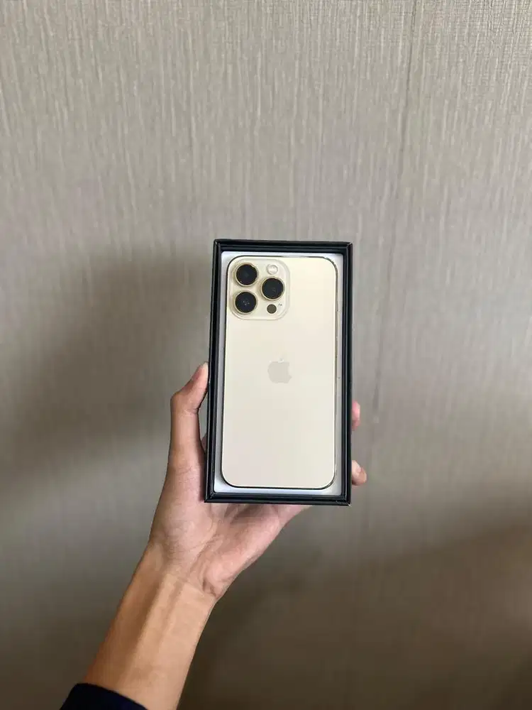 iPhone 13Pro 256gb