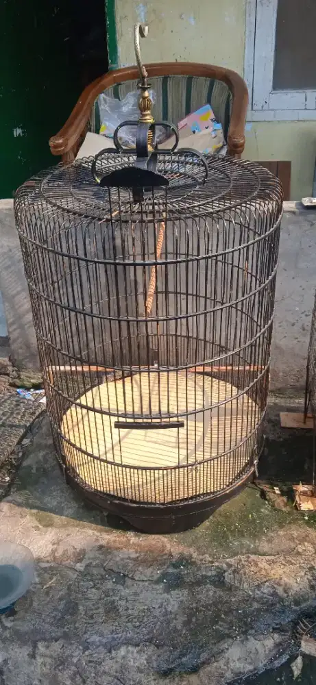 Kandang murai no 1 di Ciater BSD
