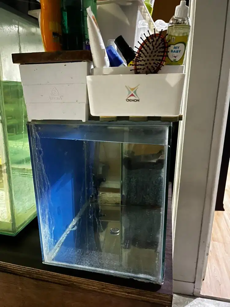 Aquarium masih bagus