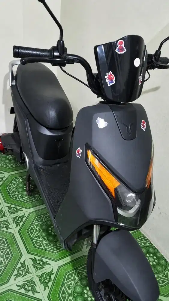 sepeda listrik d70
