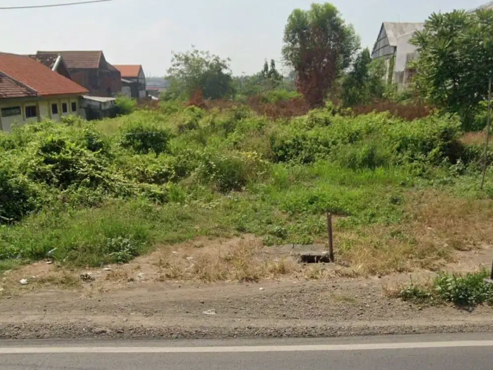 Nol Jalan Raya Domas Menganti Gresik
