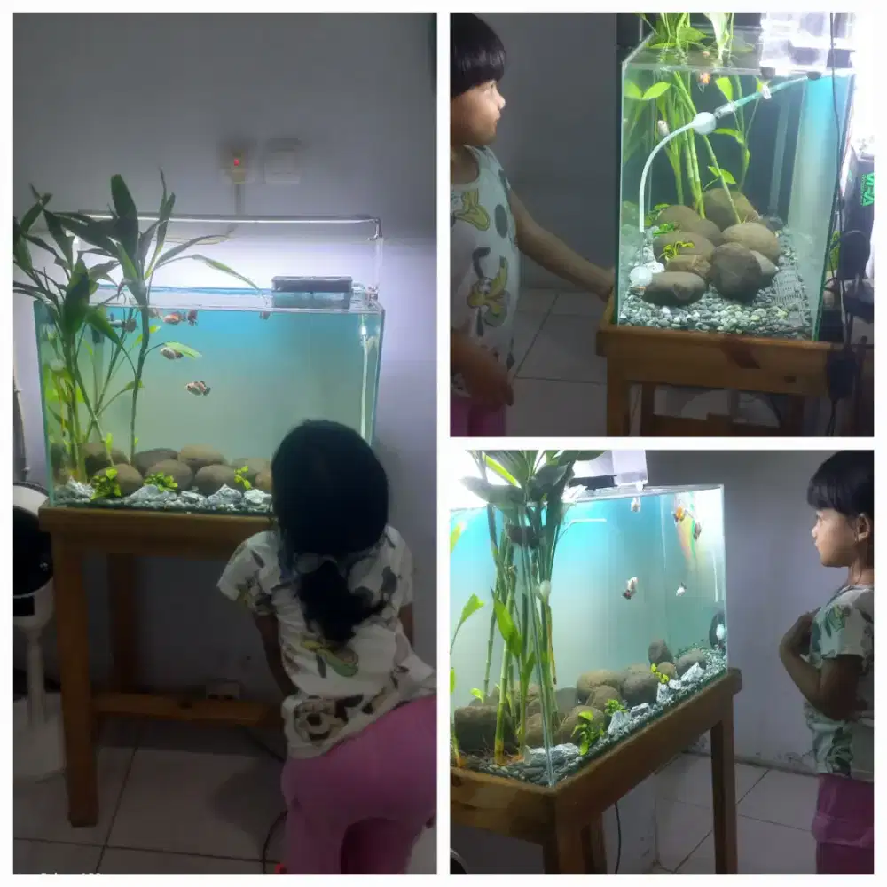 Aquascape fullset