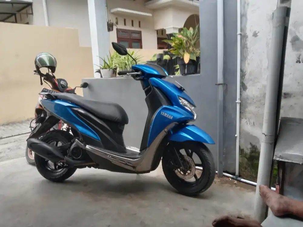 2019 YAMAHA FreeGo