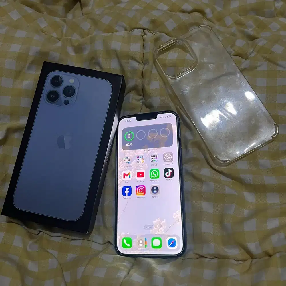 iPhone 13 Pro Max 256gb beacukai