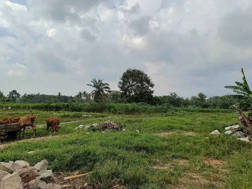 TANAH MURAH 500 MTR DARI JALUR DUA KORPRI ITERA