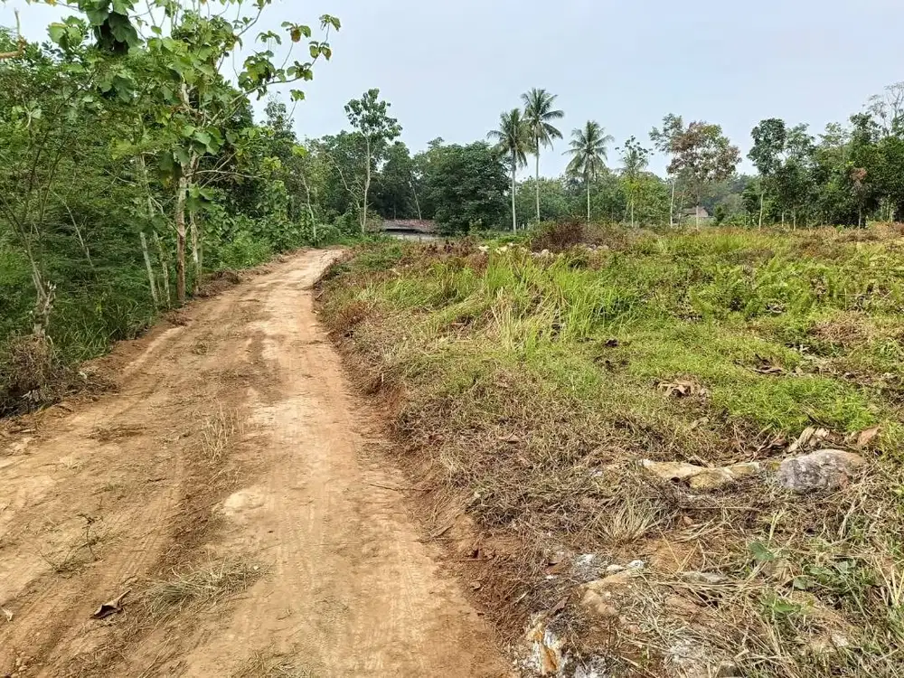 KAVLING DISAMPING KAMPUS ITERA
