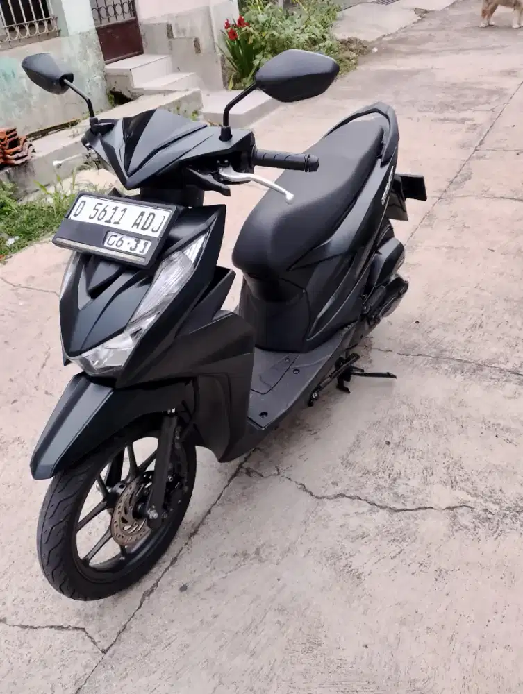 Beat deluxe Thun 2021 kodya