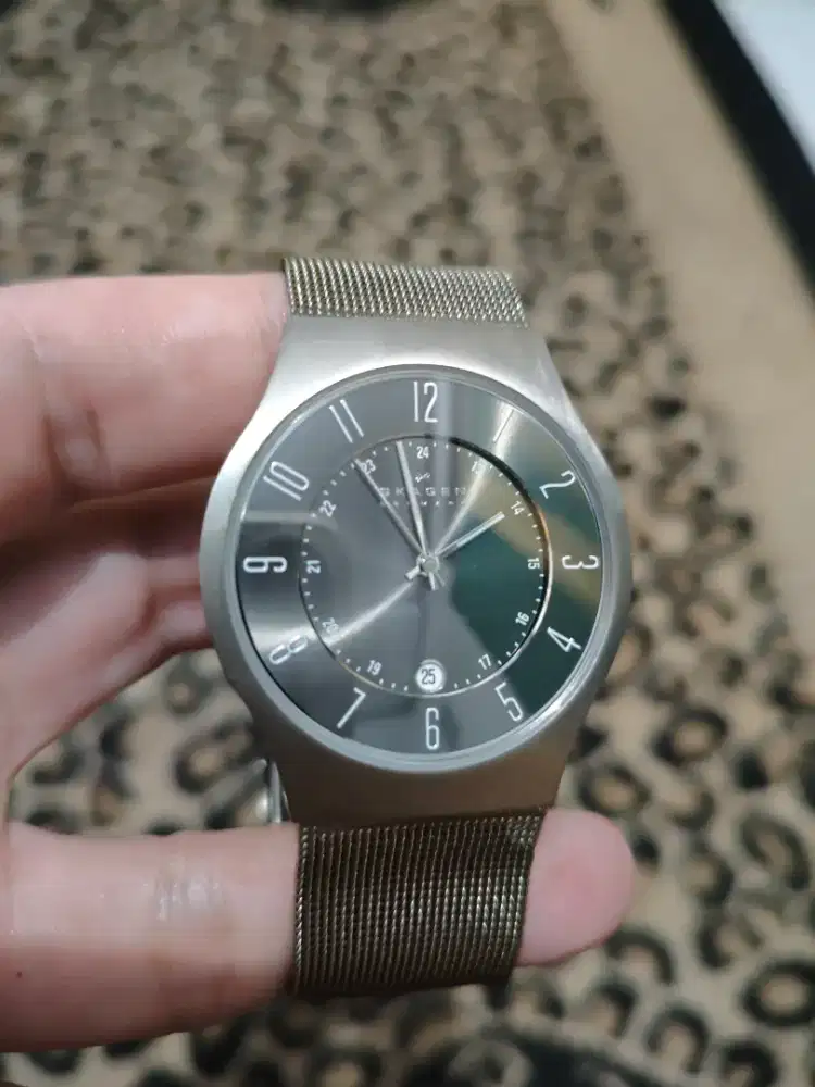 Skagen Denmark Titanium Muluss