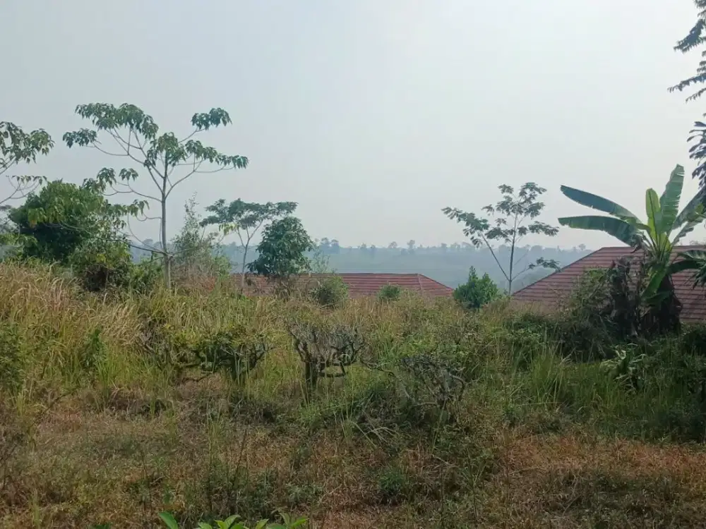Dijual lahan pinggir jalan luas 13200 meter cocok untuk rumah atau gudang