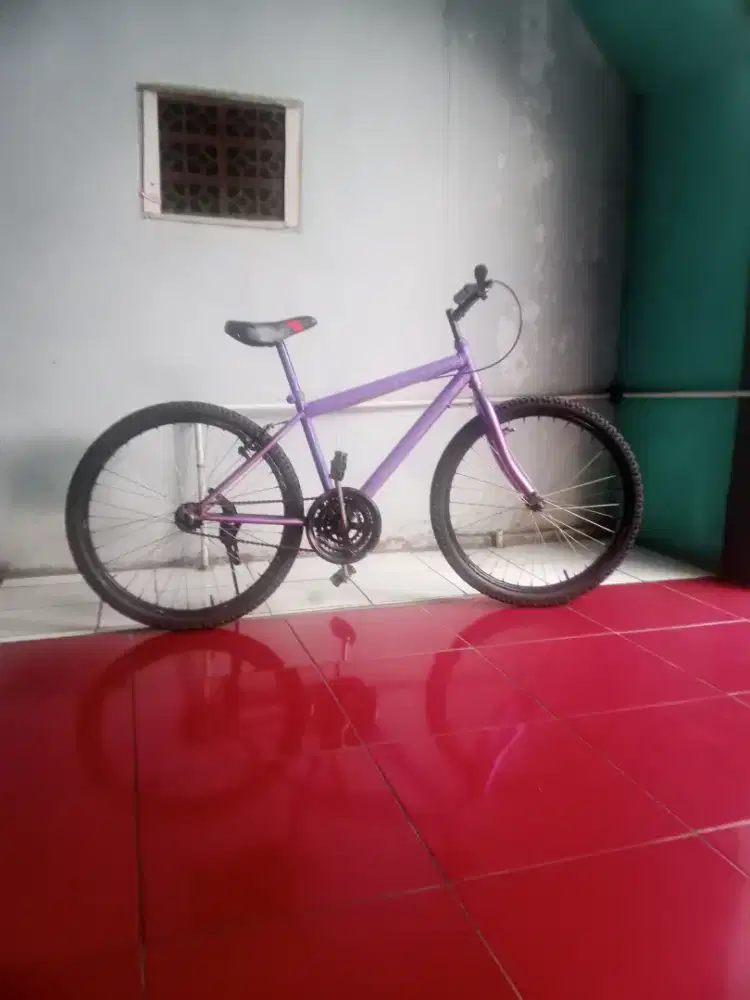 Sepeda Lady Ban 24