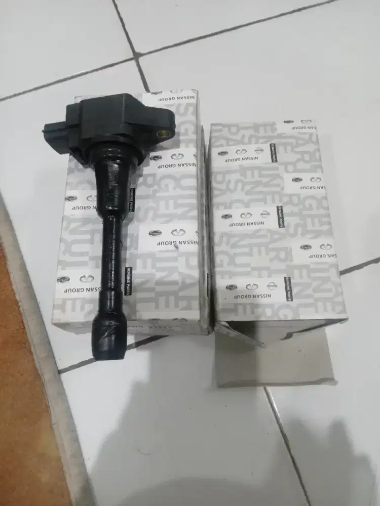 Coil Datsun Go 1 set