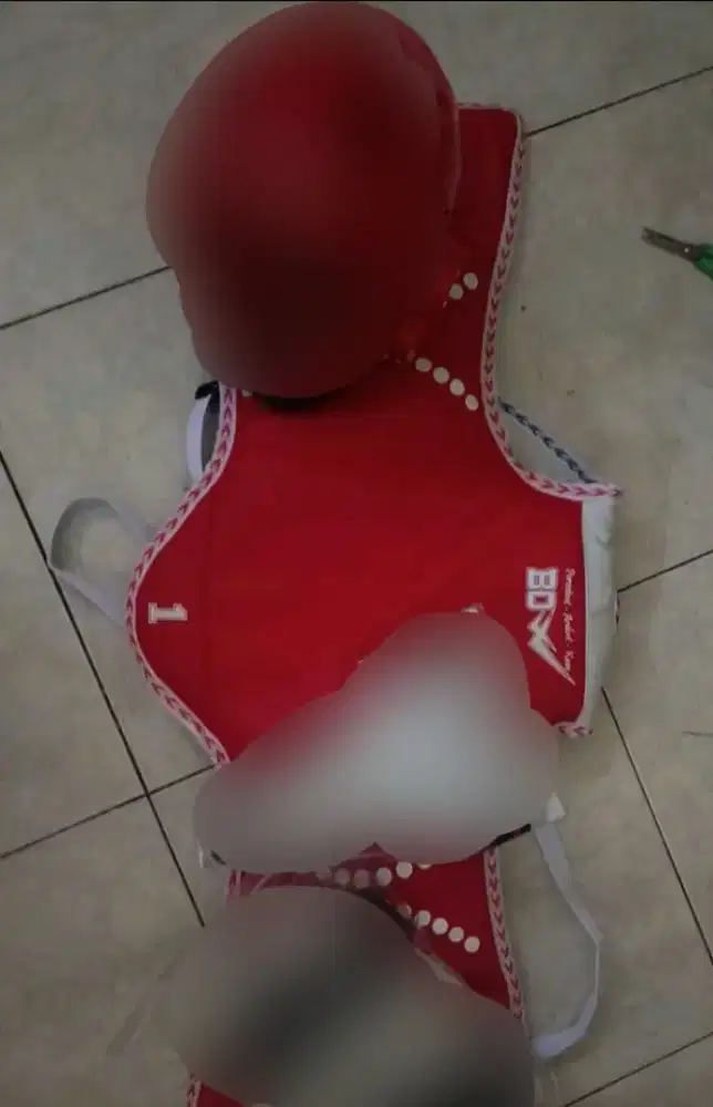 body protector taekwondo