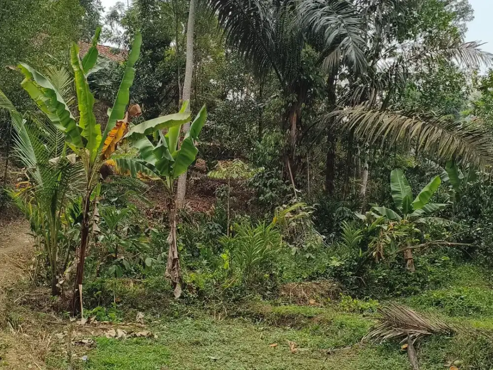 Kebun Produktif & Siap Bangun Villa di Bojong Purwakarta – Dekat Pintu Tol & Wisata