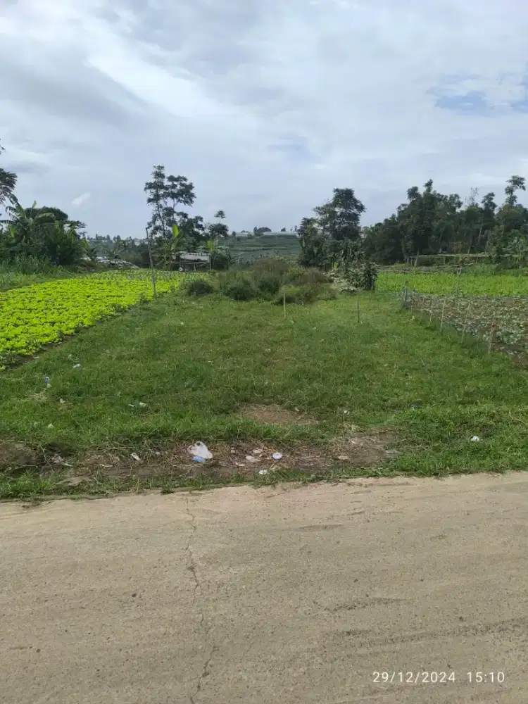 MURAH JUAL TANAH LEMBANG BANDUNG