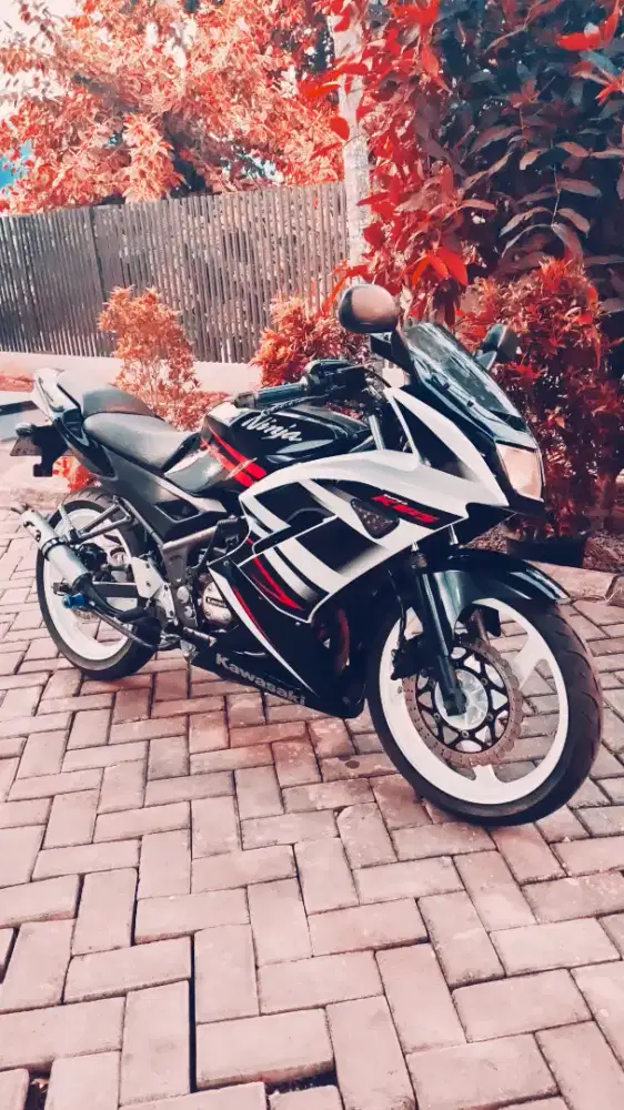 Kawasaki Ninja RR 2015 RR