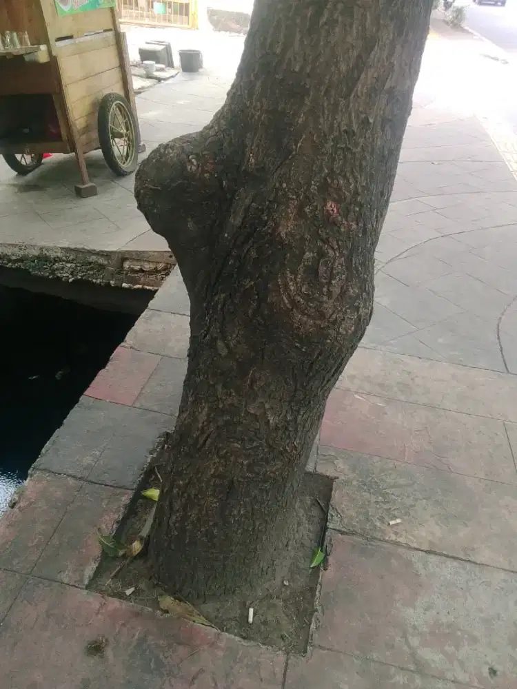 Sewa kios 2 jadi 1