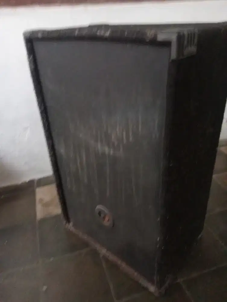 Speaker 12 inc bassoke