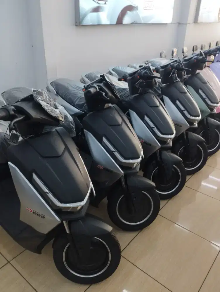 SEPEDA LISTRIK D66B