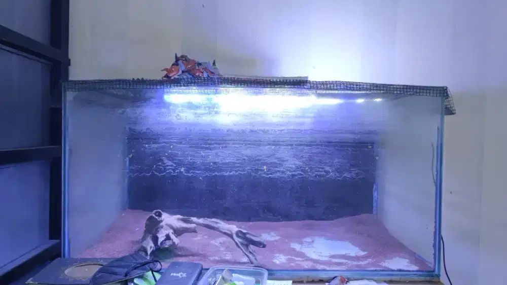 Aquarium ukuran 80 x 40 x 40