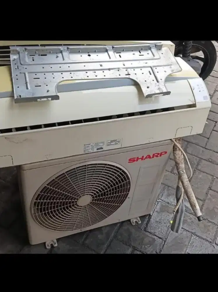 AC sharp 1/2 PK ori