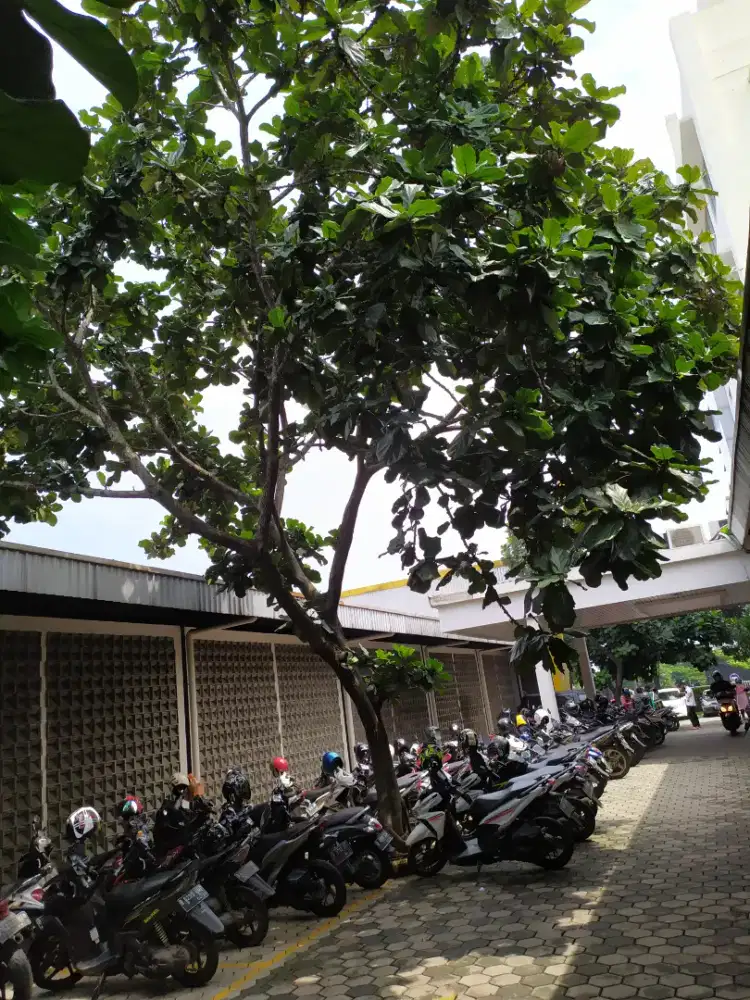 KARYAWAN PRIA utk HELPER (min. SMP)