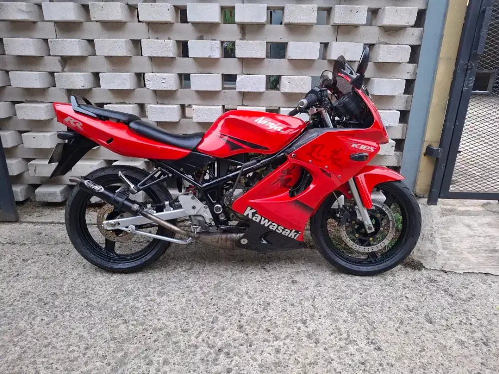 Kawasaki ninja RR 2010