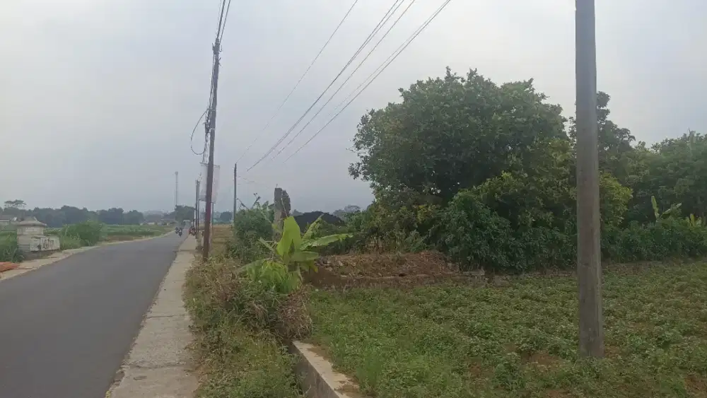 Dijual cepat tanah SHM perkebunan